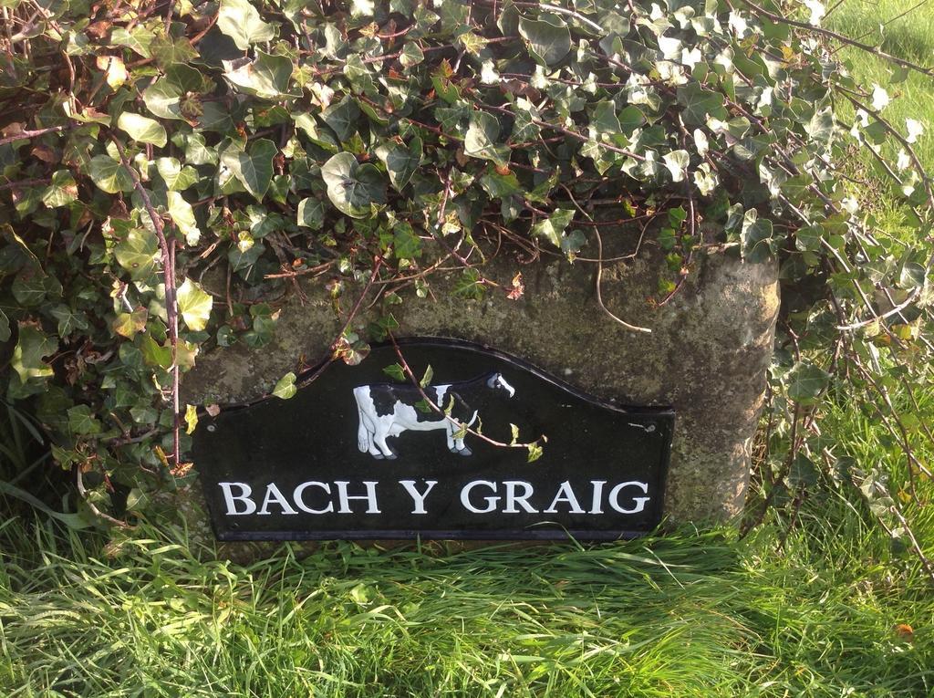 Отель Bach Y Graig Сент-Асаф Экстерьер фото