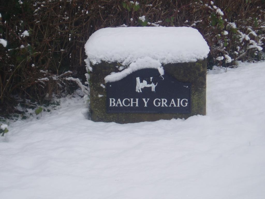 Отель Bach Y Graig Сент-Асаф Экстерьер фото